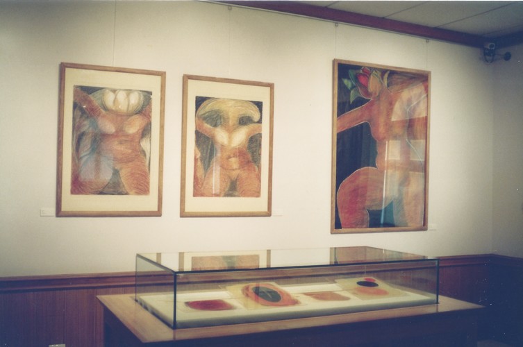 artworks installed on a wall and in a case