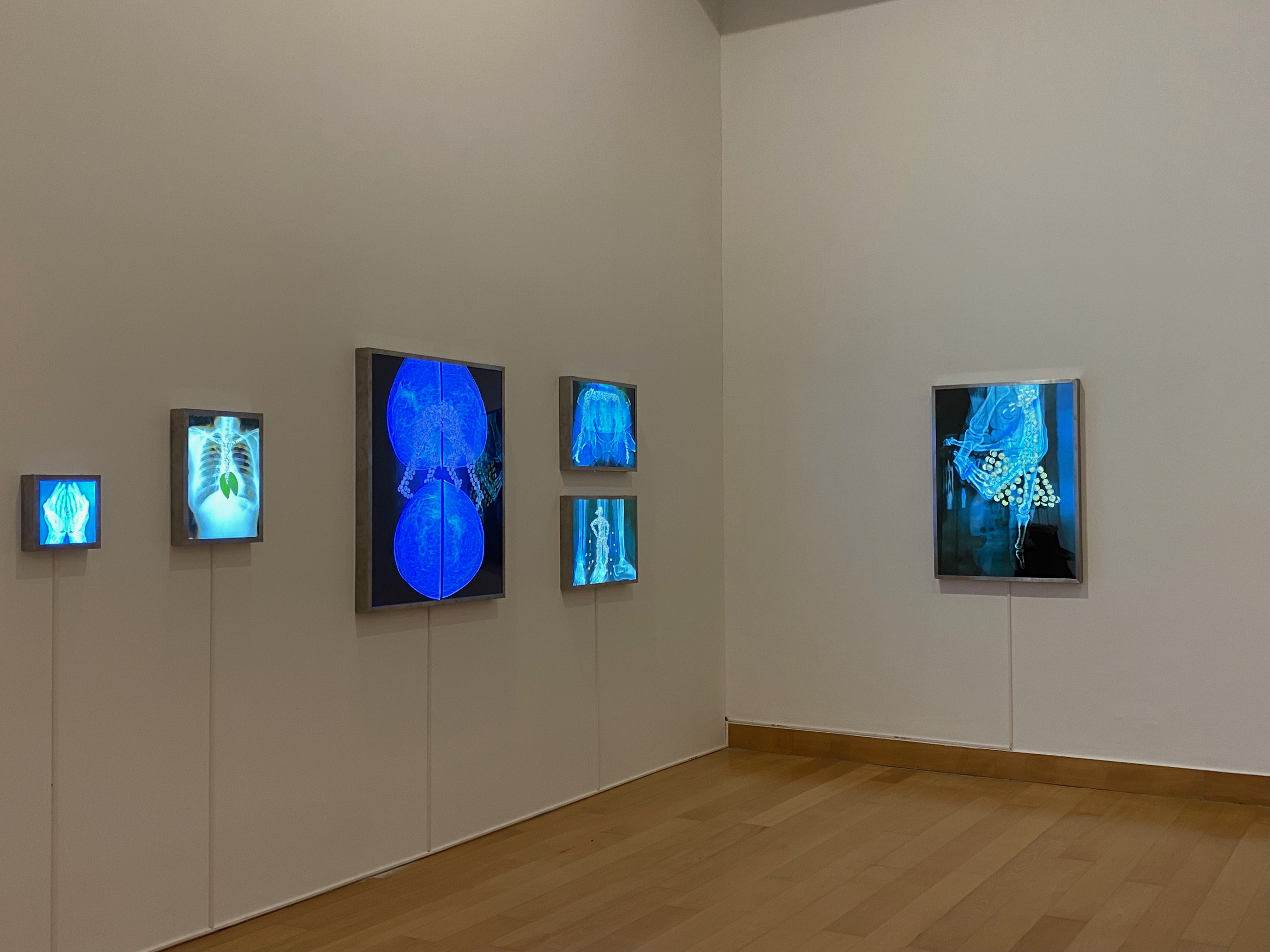 gallery space with digital artworks