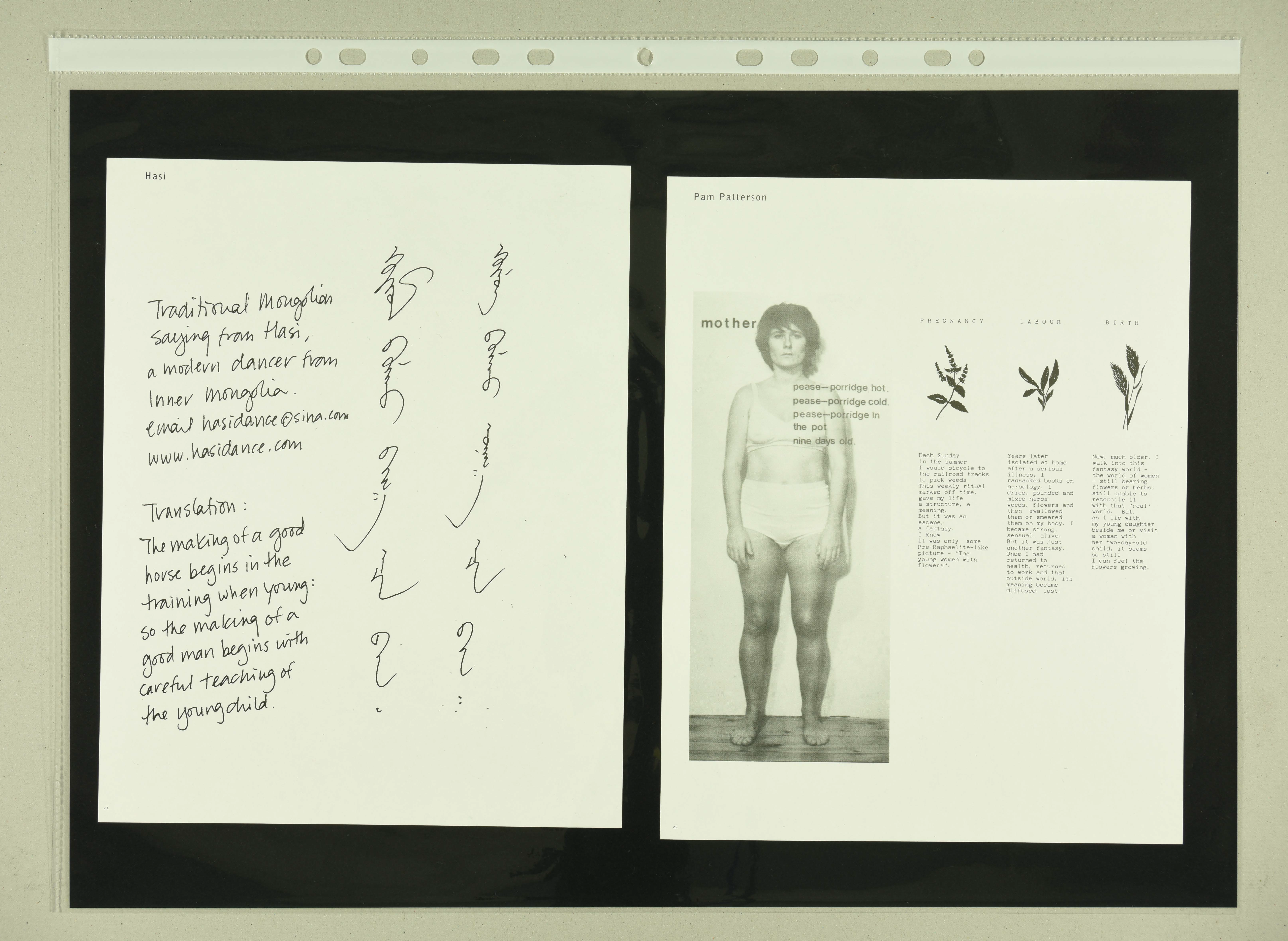 Procreation Postcreation internal page