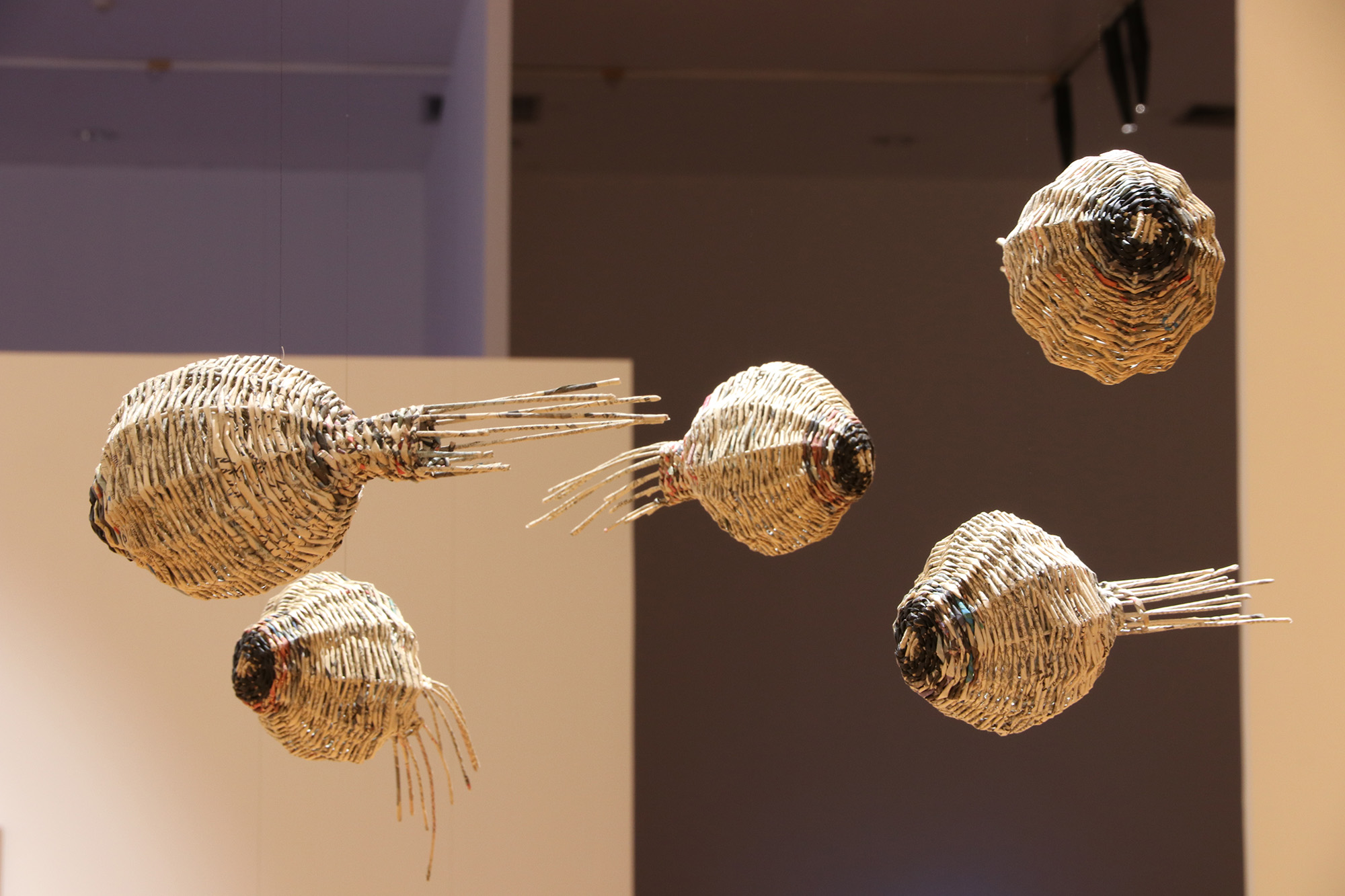 baskets hanging
