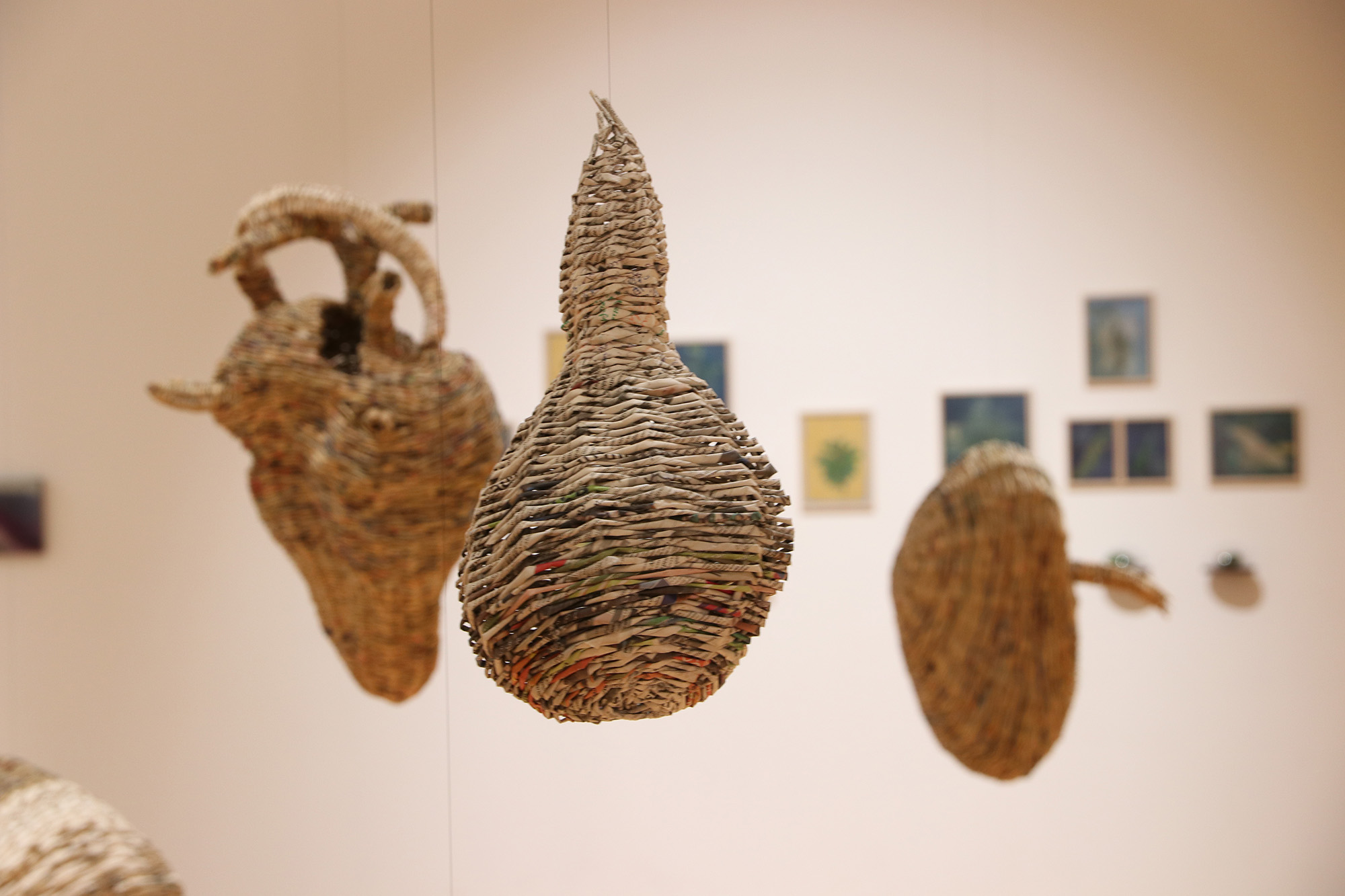 baskets hanging
