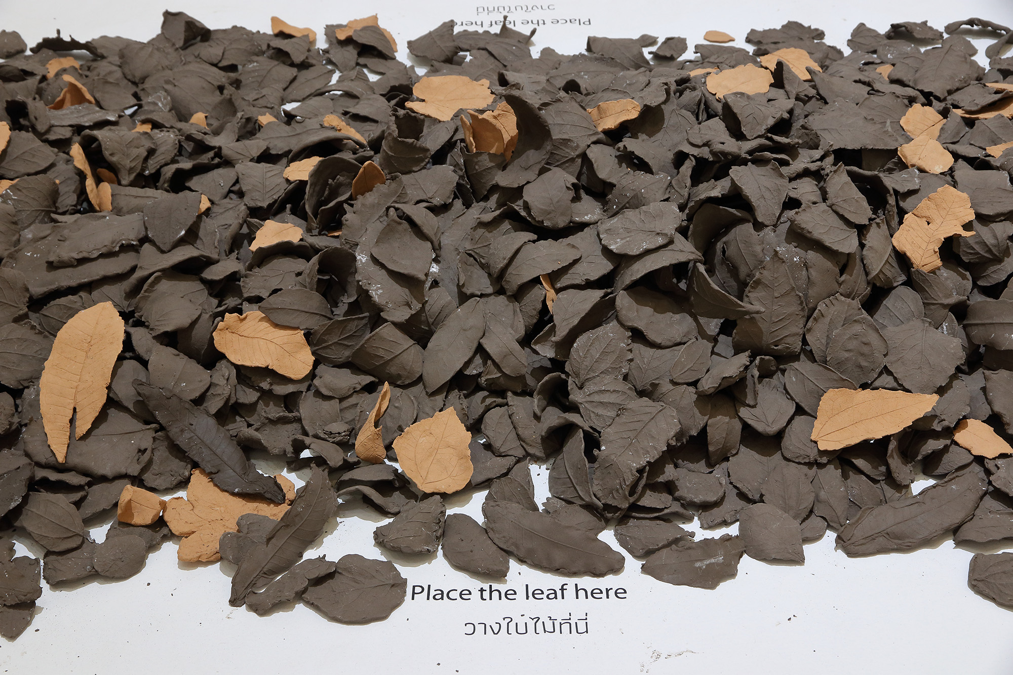 clay leaves close up