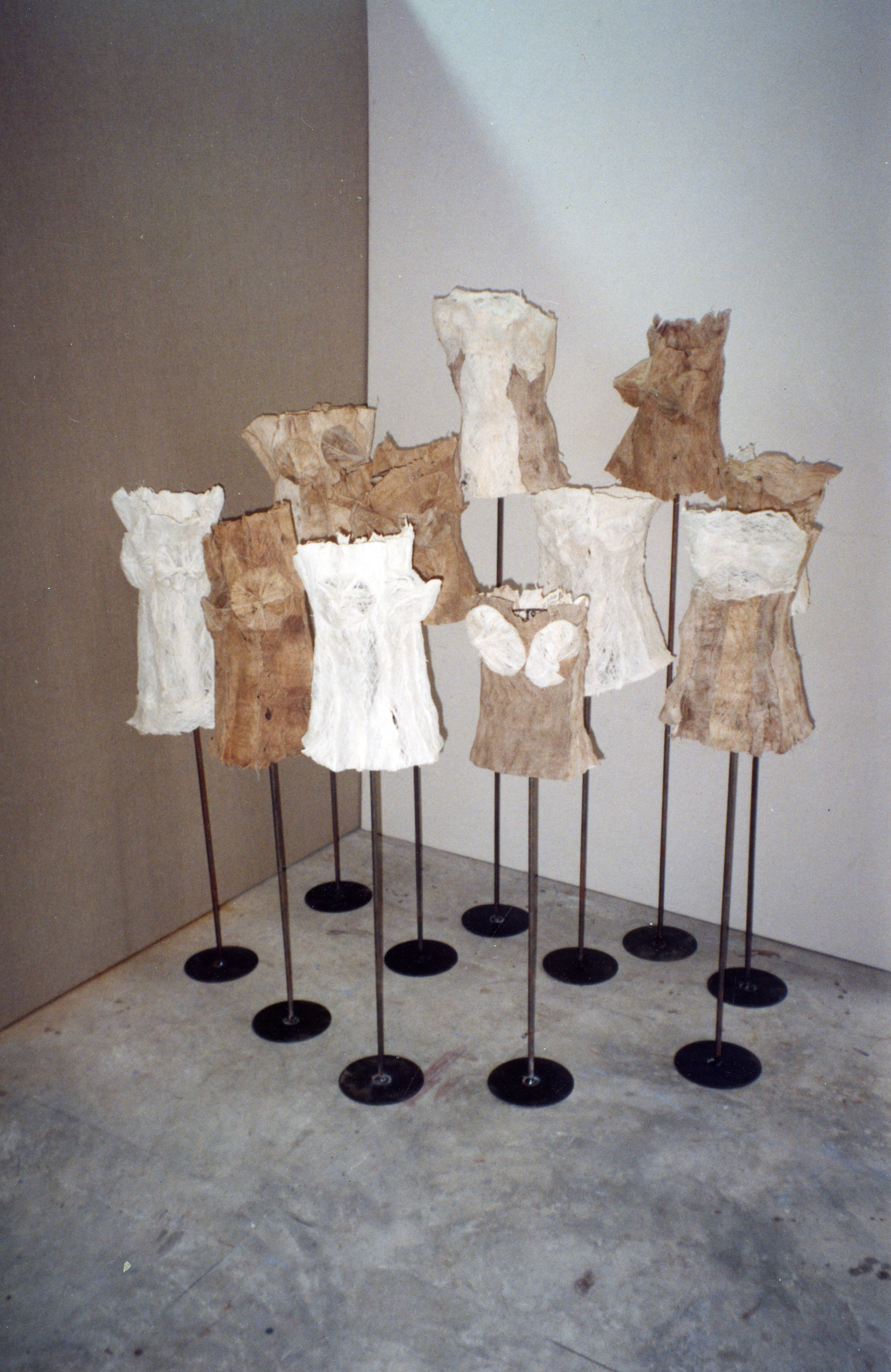 Breasts and Bodies (Set of 6 Photographs)