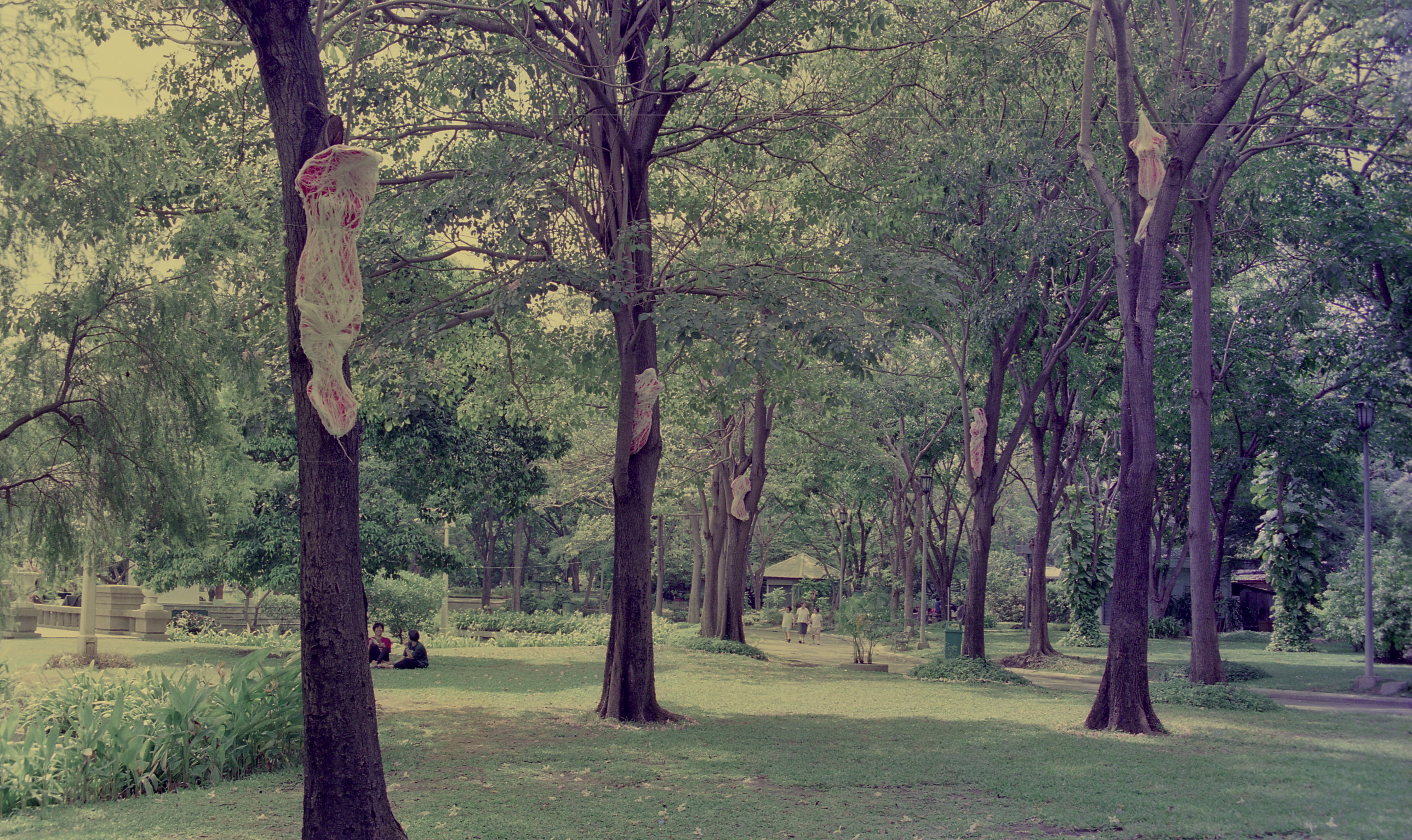 Spirit Hanging (Set of 4 Photographs)