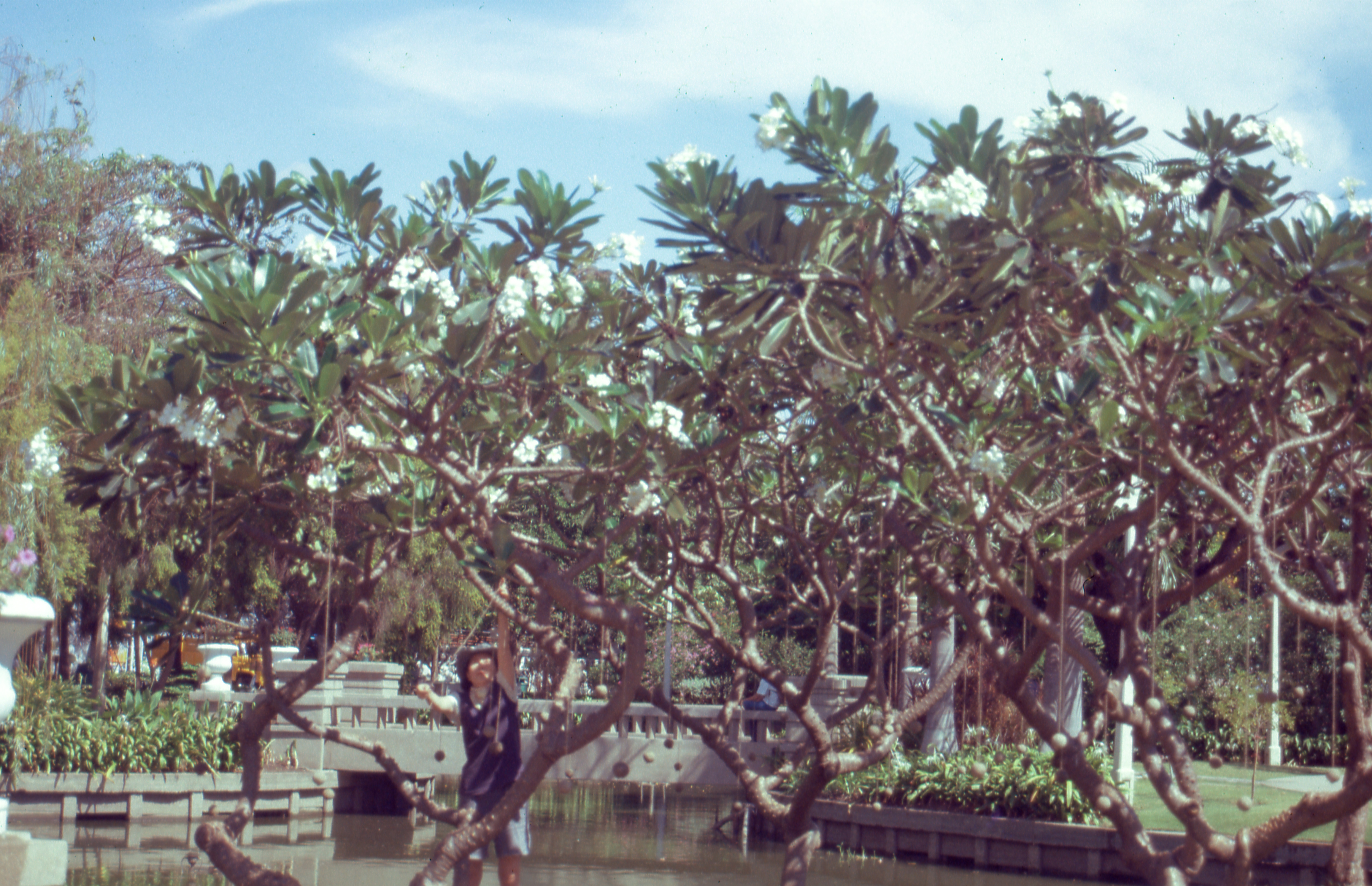 Stand Beside the River