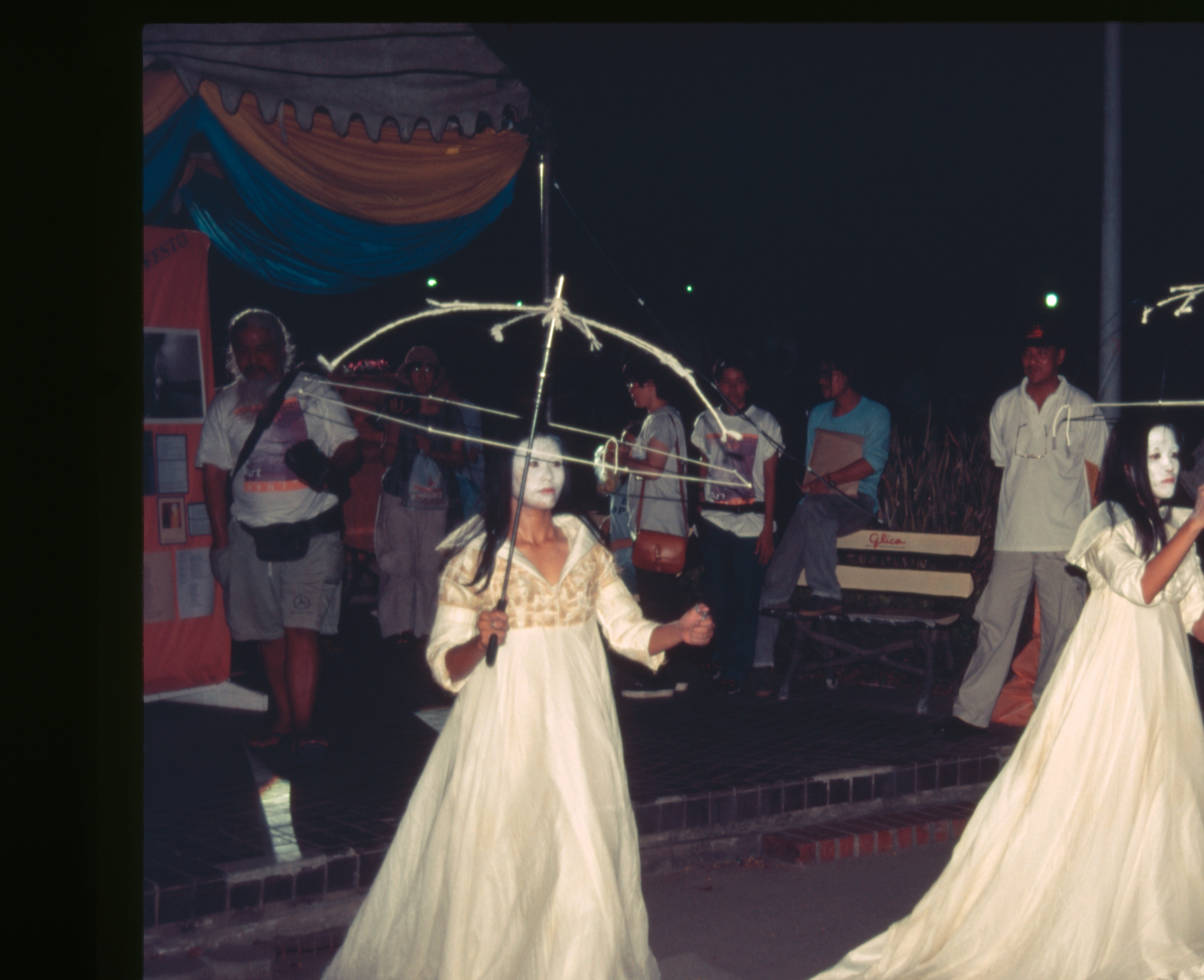 Fire — Fly (Set of 3 Photographs)