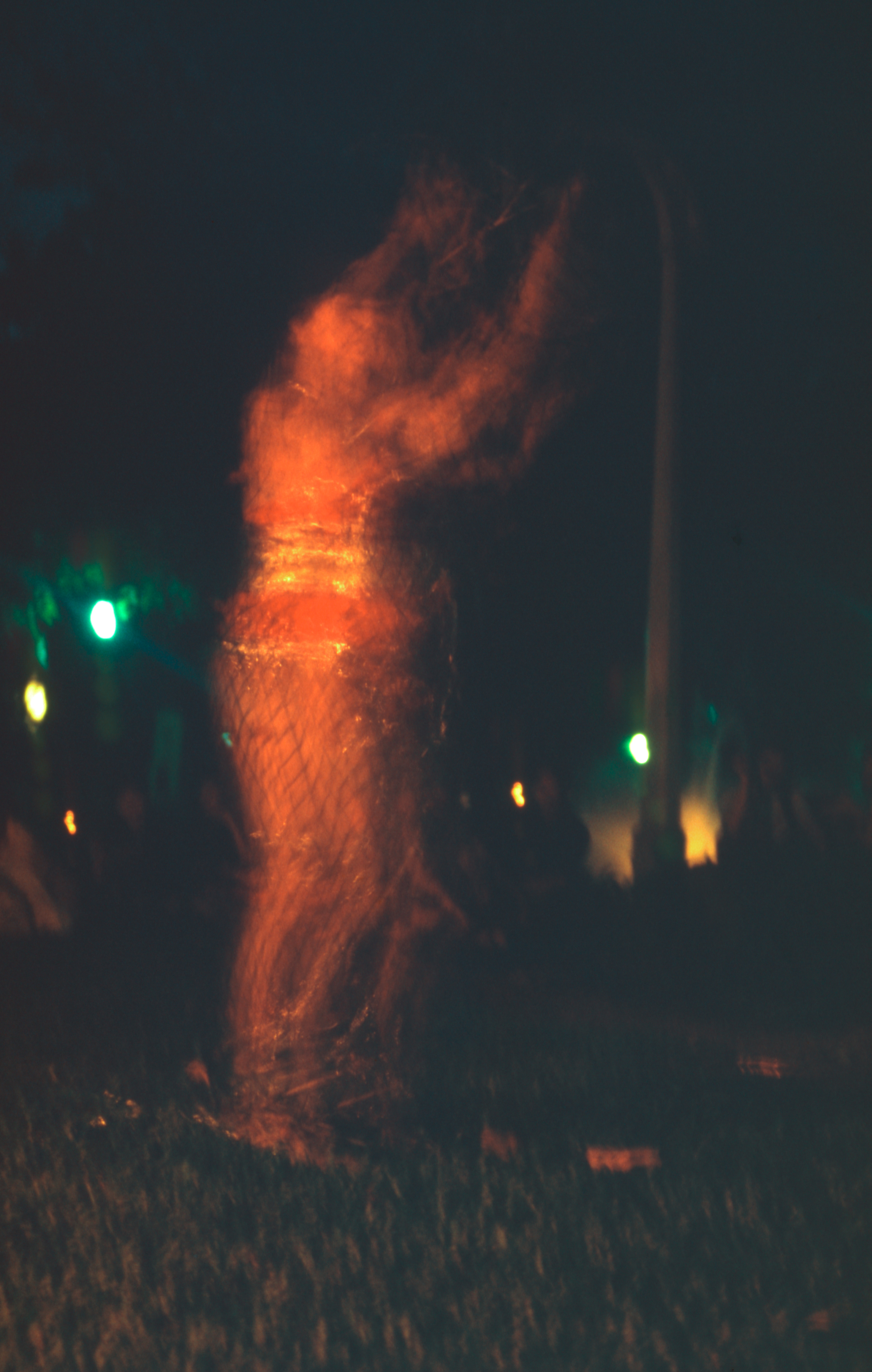 I Was Born (Set of 4 Photographs)