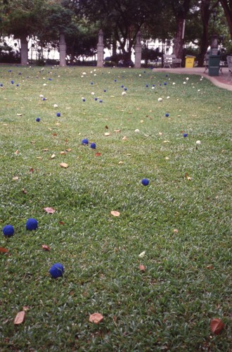 Swept Around in the Wind (Set of 8 Photographs)