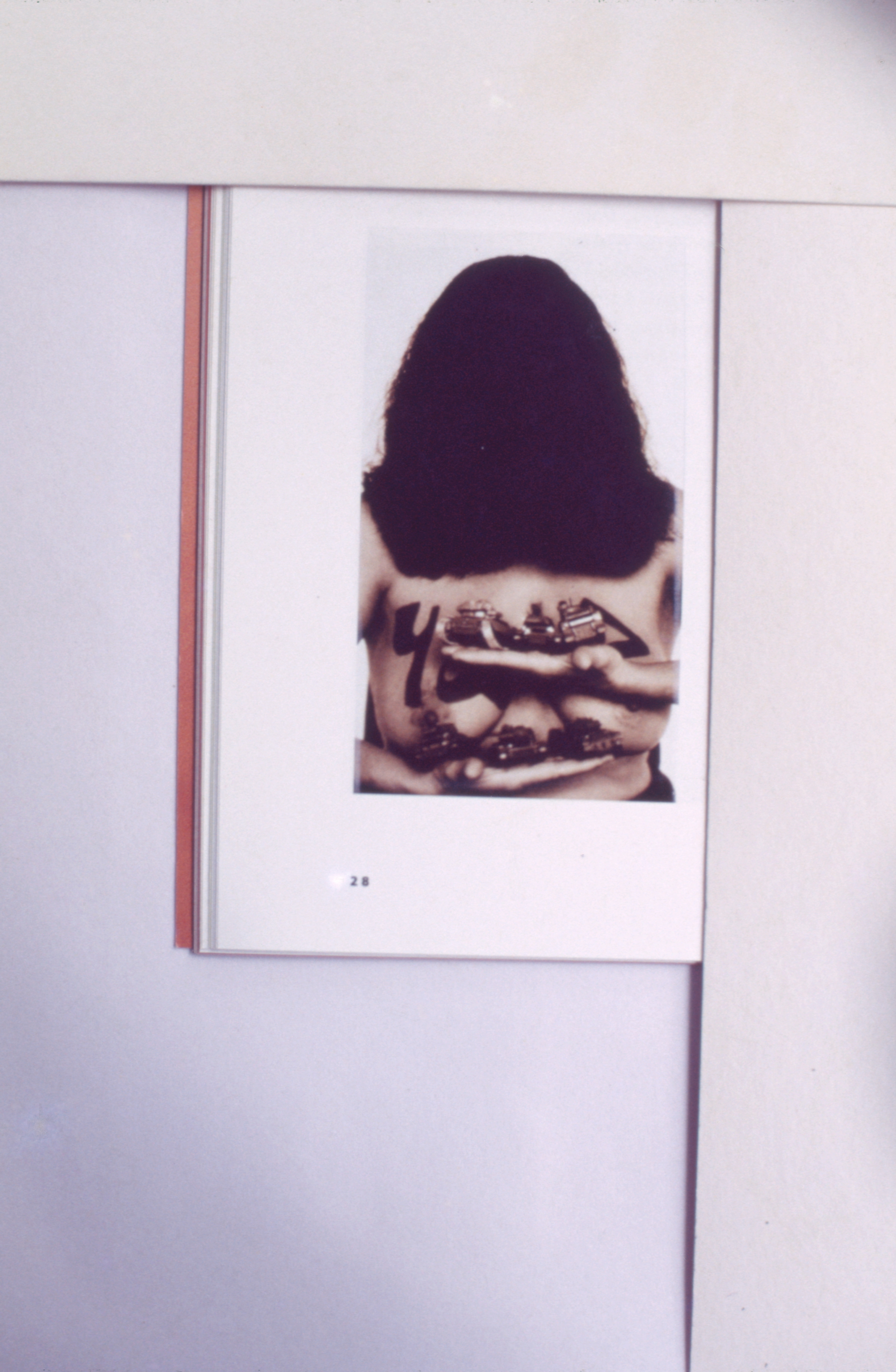 Work by Nilofar Akmut (Set of 2 Images)