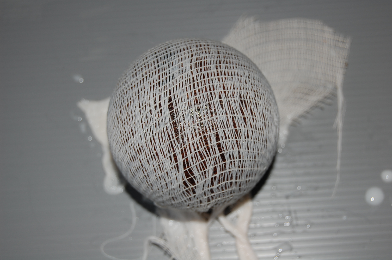 Casting Off a Memory — Detail (Set of 5 Photographs)