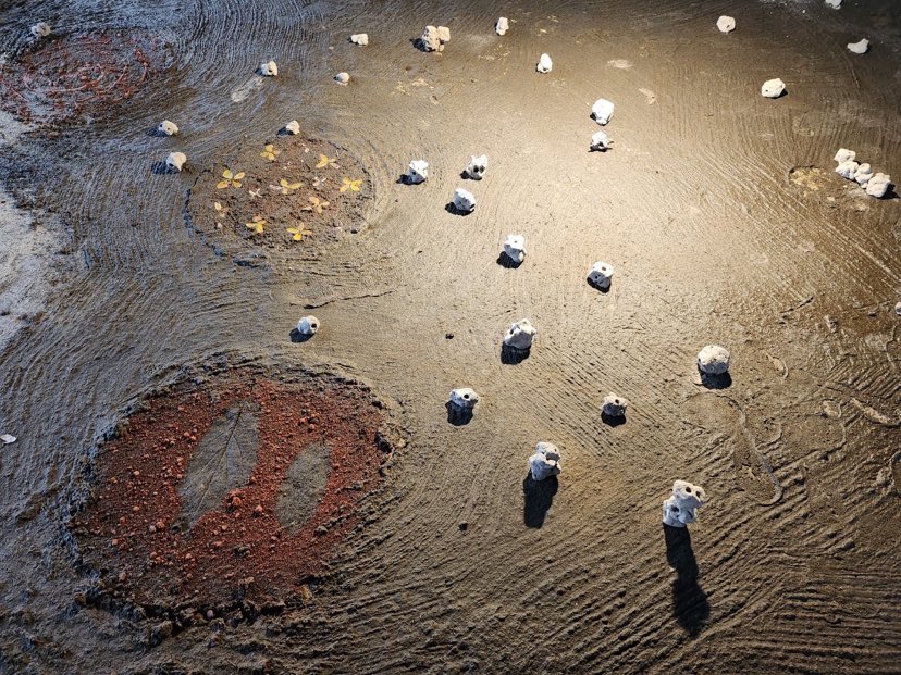 Womanifesto Workshop 2023