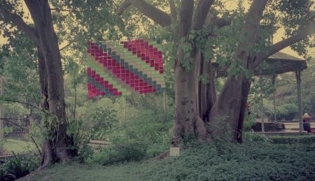 Bags (Set of 6 Photographs)