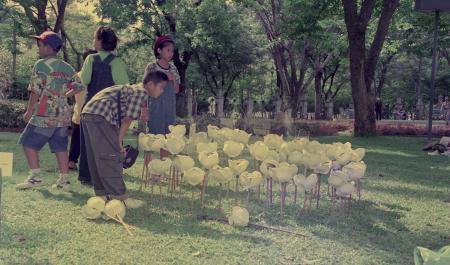 Don't Step on the Flowers (Set of 4 Photographs)