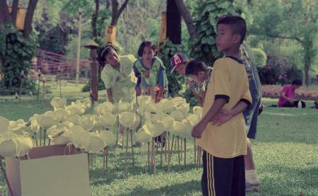 Don't Step on the Flowers (Set of 4 Photographs)