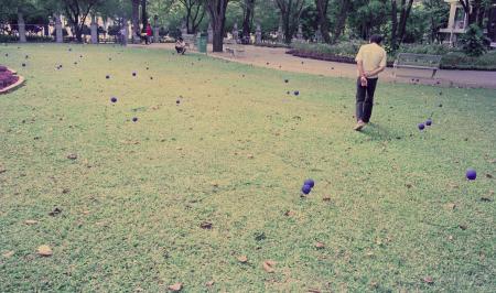 Swept Around in the Wind (Set of 8 Photographs)