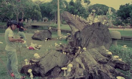 Parasites of Life — Preparation (Set of 5 Photographs)