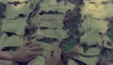 From Pest to Pets — Detail (Set of 2 Photographs)