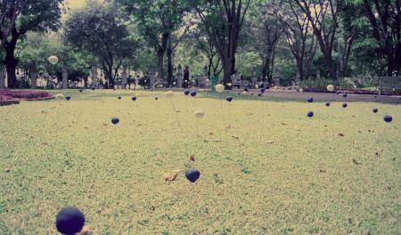 Swept Around in the Wind (Set of 8 Photographs)