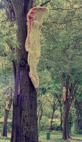 Spirit Hanging (Set of 4 Photographs)