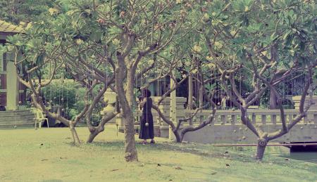 Stand Beside the River (Set of 3 Photographs)