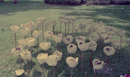 Don't Step on the Flowers (Set of 4 Photographs)