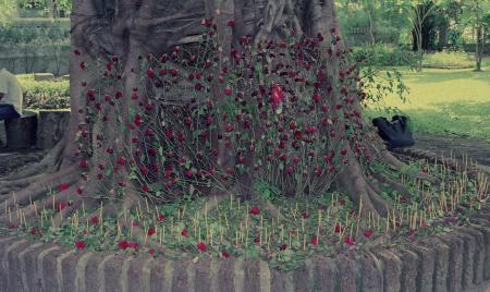 Women's Cemetery (Set of 4 Photographs)