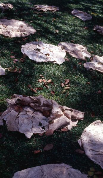 Untitled 'Offering' (Set of 2 Photographs)