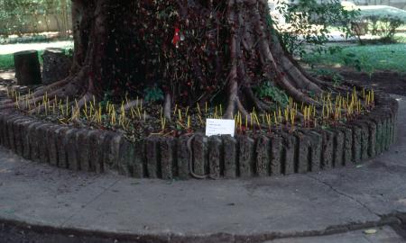 Women's Cemetery (Set of 4 Photographs)