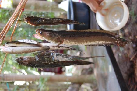 Womanifesto Residency Everyday Activities (Set of 115 Photographs)