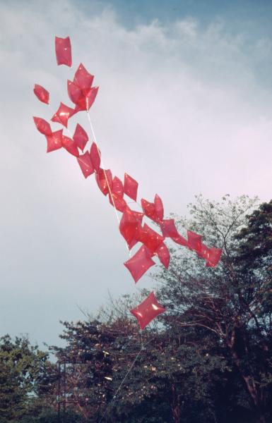 Body Installation (Set of 2 Photographs)