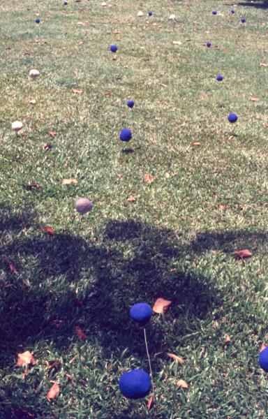 Swept Around in the Wind (Set of 8 Photographs)