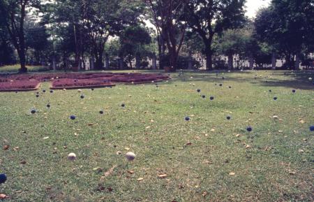 Swept Around in the Wind (Set of 8 Photographs)