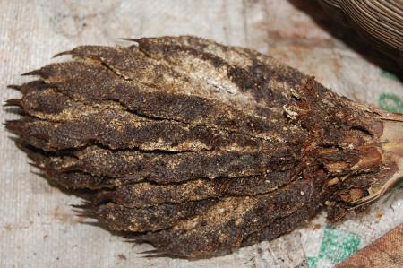 Making of Plant-based Dyes by Pan Parahom (Set of 10 Photographs)