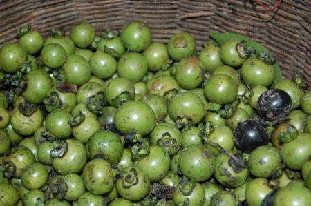 Making of Plant-based Dyes by Pan Parahom (Set of 10 Photographs)