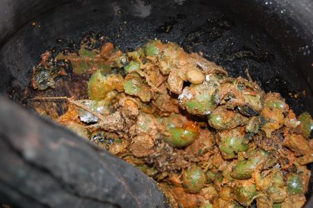 Making of Plant-based Dyes by Pan Parahom (Set of 10 Photographs)