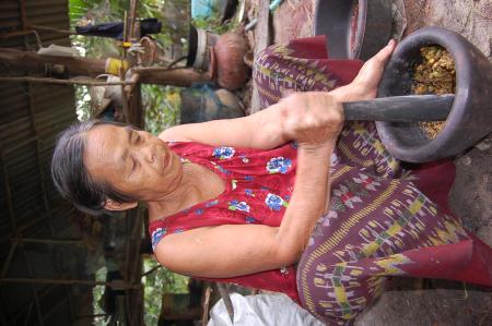 Making of Plant-based Dyes by Pan Parahom (Set of 10 Photographs)