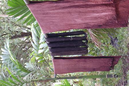 Making of Plant-based Dyes by Pan Parahom (Set of 10 Photographs)