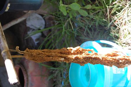 Making of Plant-based Dyes by Pan Parahom (Set of 10 Photographs)