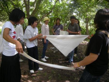 Photographs Selected for Press (Set of 31 Photographs)