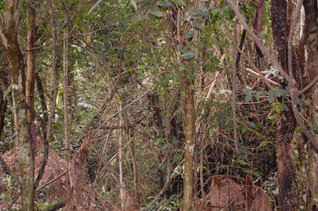 Womanifesto Residency Everyday Activities (Set of 115 Photographs)