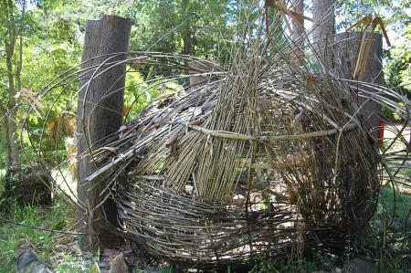 Womanifesto Residency Everyday Activities (Set of 115 Photographs)