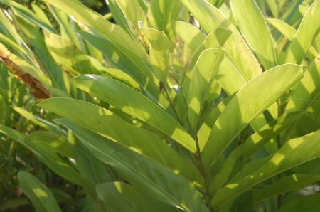 Womanifesto Residency Everyday Activities (Set of 115 Photographs)