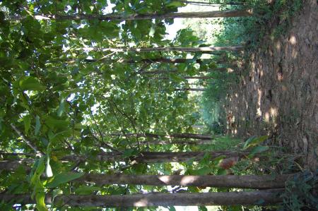 Womanifesto Residency Everyday Activities (Set of 115 Photographs)