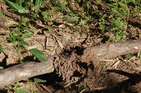 Womanifesto Residency Everyday Activities (Set of 115 Photographs)