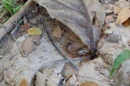 Womanifesto Residency Everyday Activities (Set of 115 Photographs)