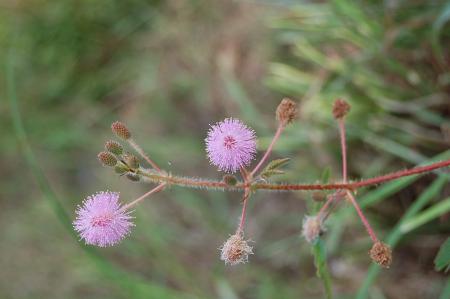 Womanifesto Residency Everyday Activities (Set of 115 Photographs)