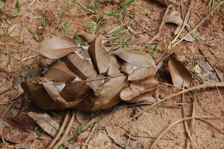 Womanifesto Residency Everyday Activities (Set of 115 Photographs)