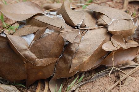 Womanifesto Residency Everyday Activities (Set of 115 Photographs)