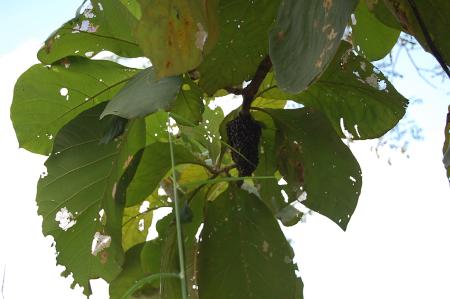 Womanifesto Residency Everyday Activities (Set of 115 Photographs)