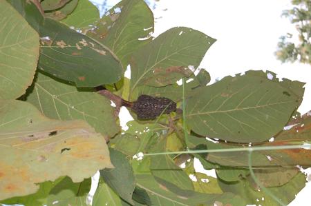 Womanifesto Residency Everyday Activities (Set of 115 Photographs)